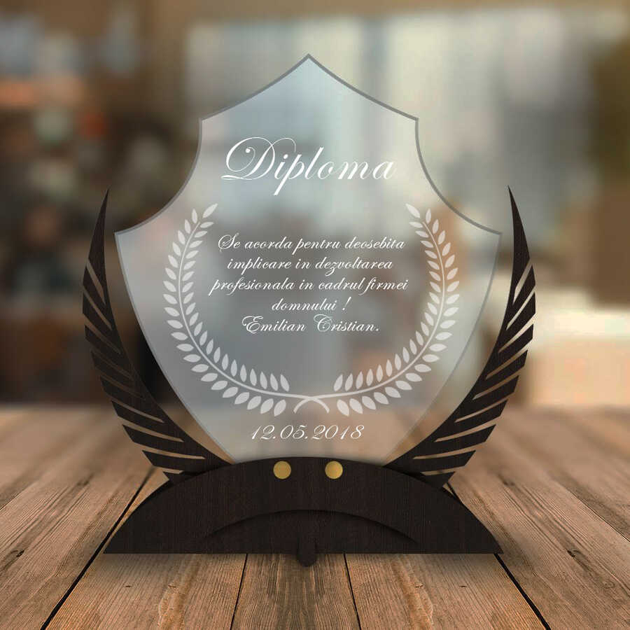 Cadou personalizat Trofeu – Diploma firma – Rezultate deosebite