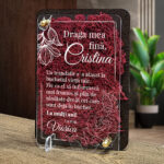 Felicitare cu licheni – Special pentru fina