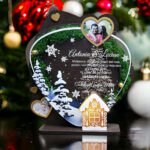 Trofeu cu licheni decorativi de Craciun – pentru nasii de botez