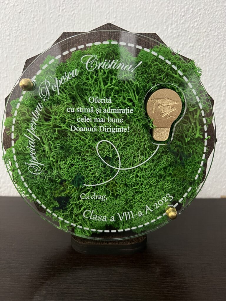 Fotografie reală cu „Trofeu Personalizat cu Licheni - Rezultate deosebite”, trimisă în recenzia #656302