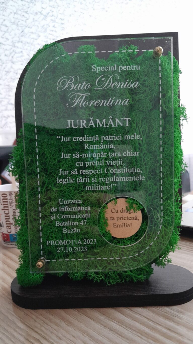 Fotografie reală cu „Trofeu Personalizat Cu Licheni - Trofeu Corporate”, trimisă în recenzia #775982