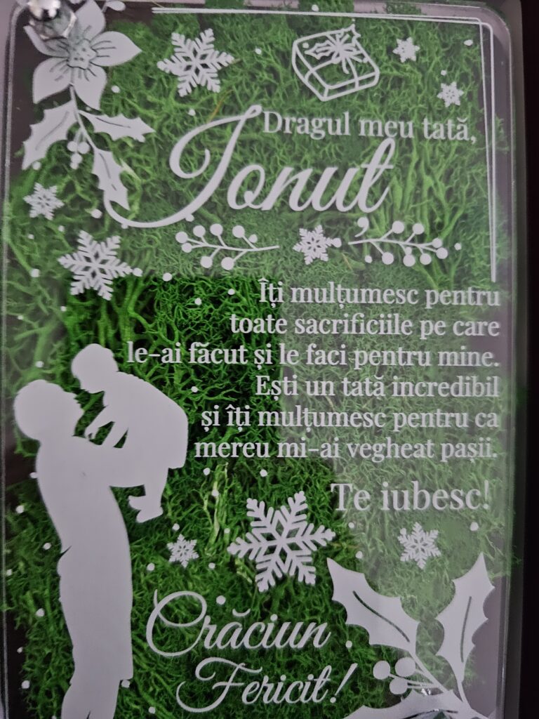 Fotografie reală cu „Felicitare cu licheni de Craciun – pentru tata”, trimisă în recenzia #829395