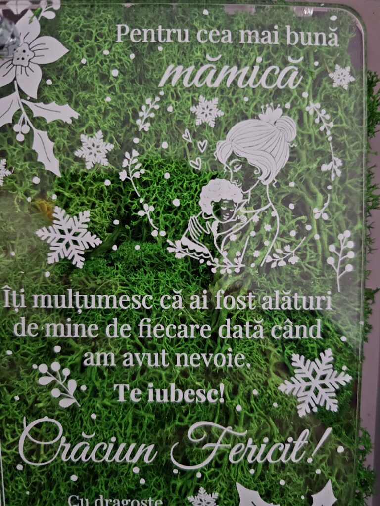 Fotografie reală cu „Felicitare cu licheni de Craciun – pentru mama”, trimisă în recenzia #829396