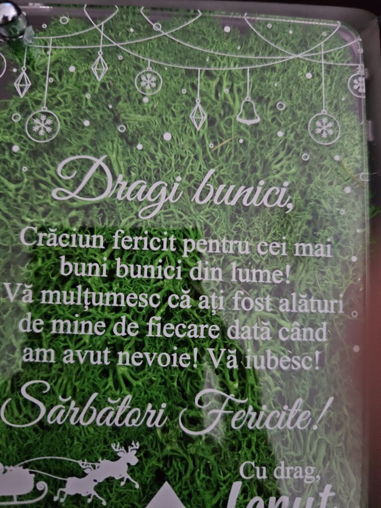 Fotografie reală cu „Felicitare cu licheni de Craciun – pentru bunici”, trimisă în recenzia #829399