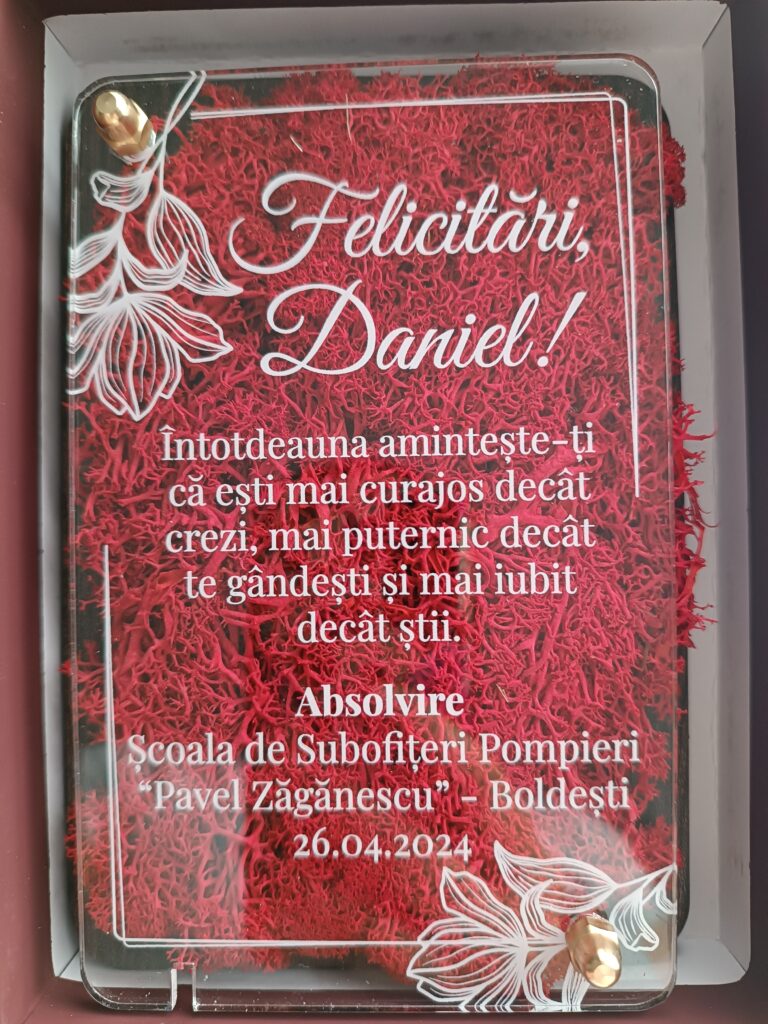 Fotografie reală cu „Felicitare cu licheni - Special pentru frate”, trimisă în recenzia #905899
