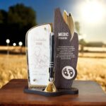 trofeu_medic_pediatru_trofee-personalizate_80087194_cadou_personalizat.jpg