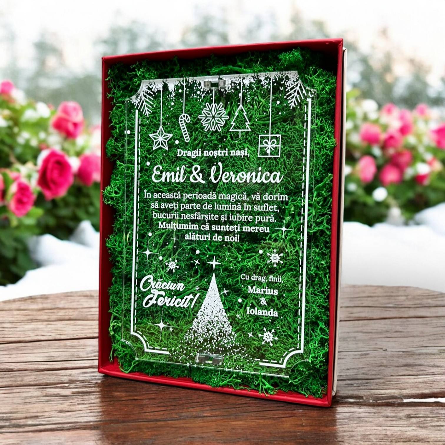 Cutie cu licheni - Urare de Craciun pentru nasi