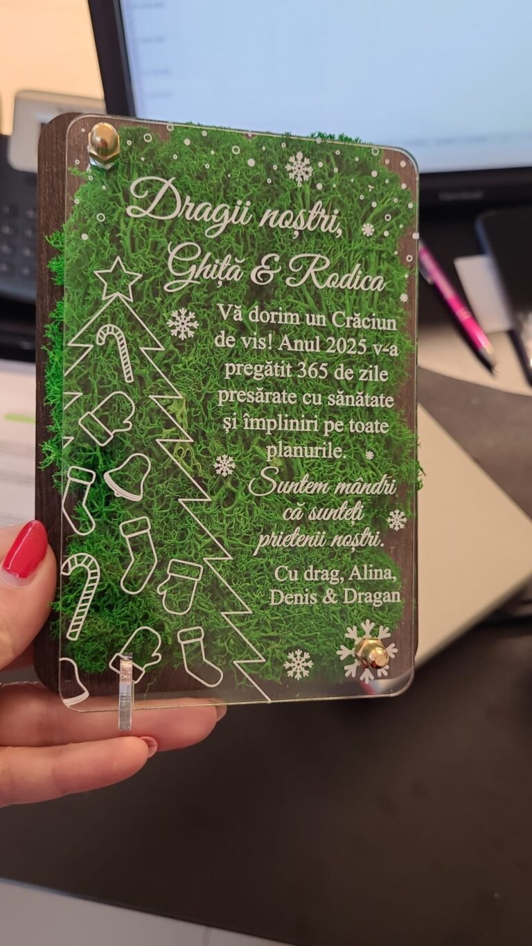 Fotografie reală cu „Felicitare cu licheni de Craciun – pentru matusa”, trimisă în recenzia #1091042