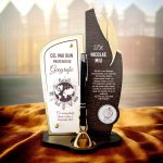 Trofeu personalizat cu pix – Cel mai bun profesor de geografie