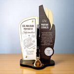 Trofeu personalizat cu pix – Cel mai bun profesor de informatica