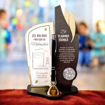 Trofeu personalizat cu pix – Cel mai bun profesor de matematica