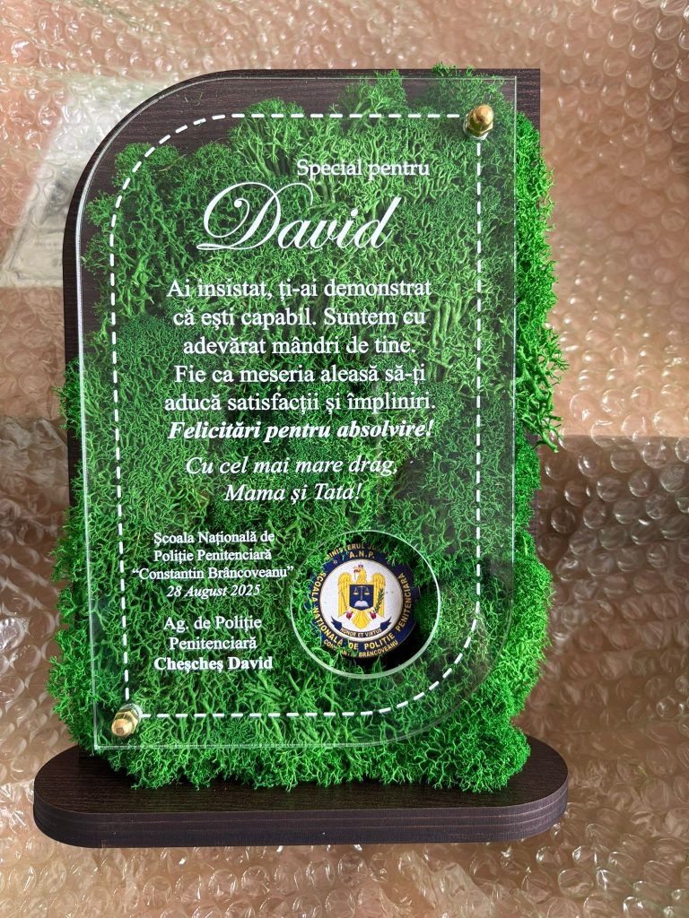 Fotografie reală cu „Trofeu Personalizat Cu Licheni - Trofeu Corporate”, trimisă în recenzia #1238308