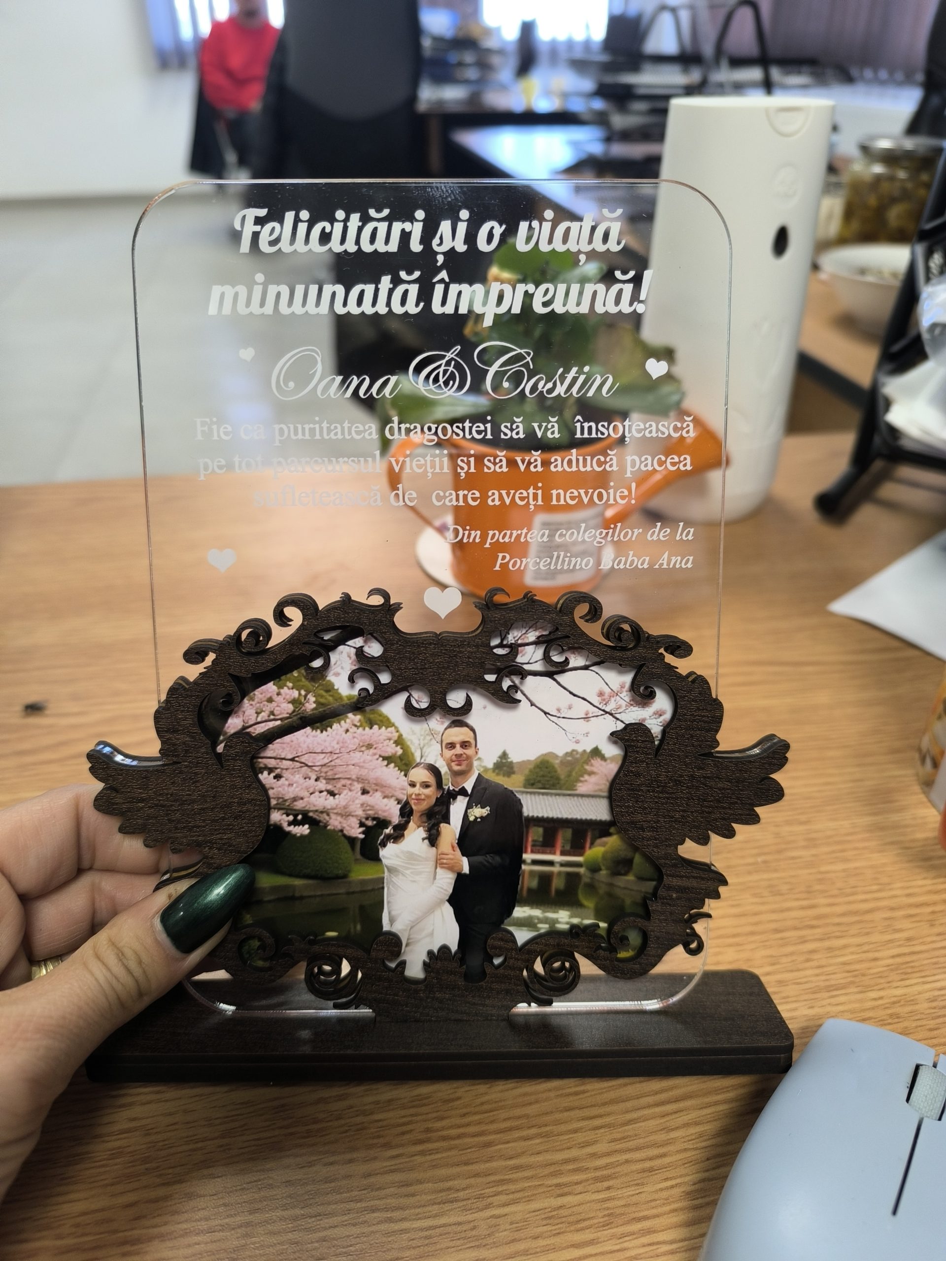 Recenzie nicoletastoian11