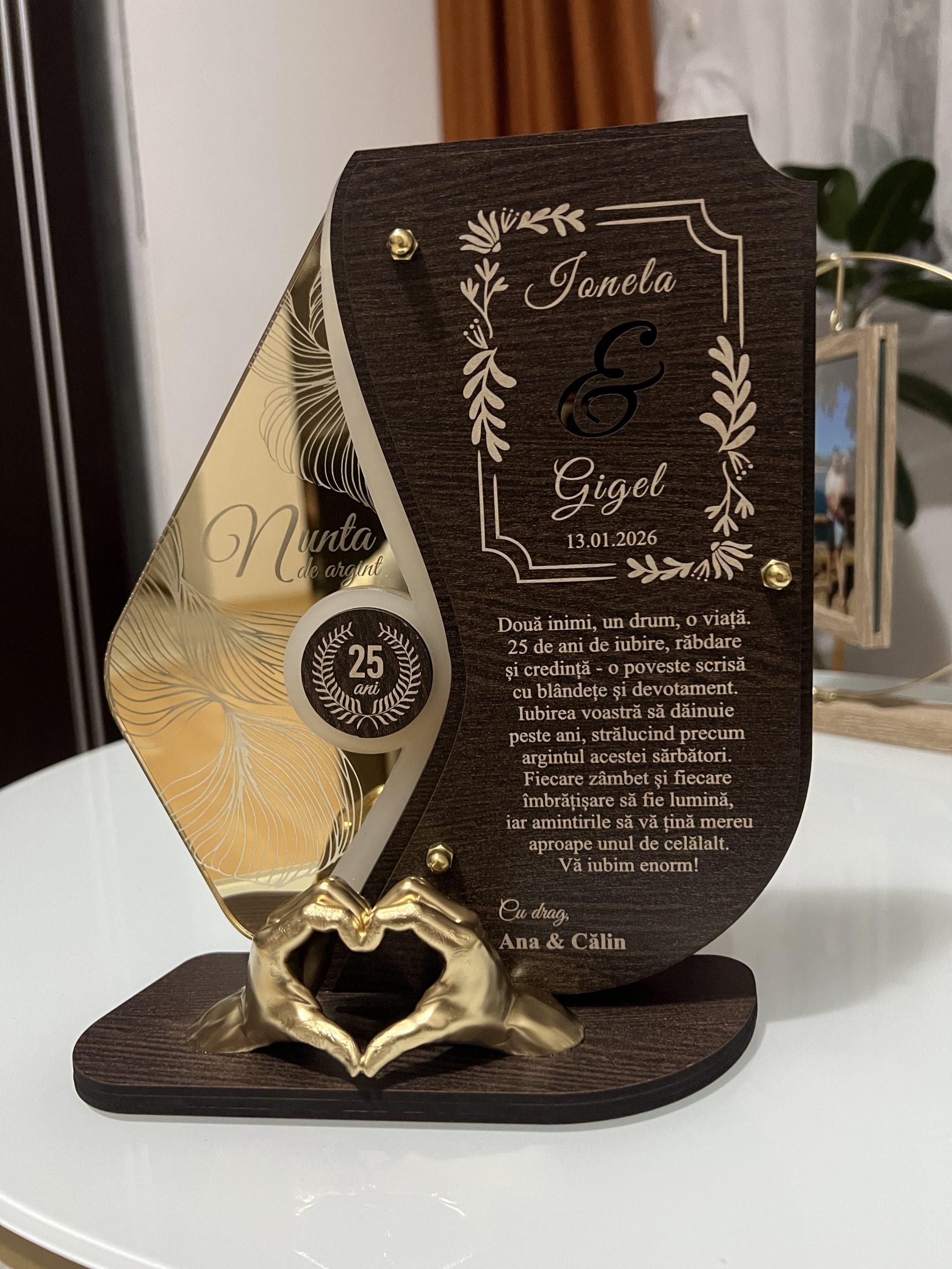 Recenzie Stanciu Ana