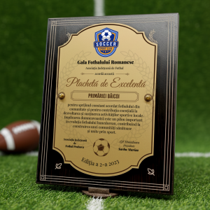 Plachetă de Excelență – Asociația Județeană de Fotbal