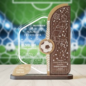 Placheta personalizata Excelenta in fotbal - masculin