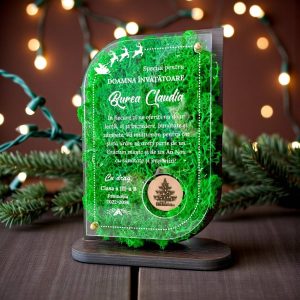 Trofeu personalizat cu licheni de Craciun - pentru invatatoare