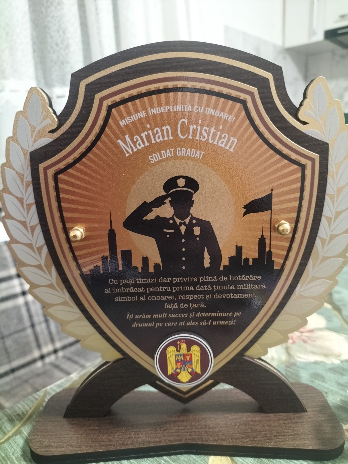 Recenzie Monica Nicola