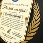 WhatsApp Image 2026-03-24 at 12.22.04-3