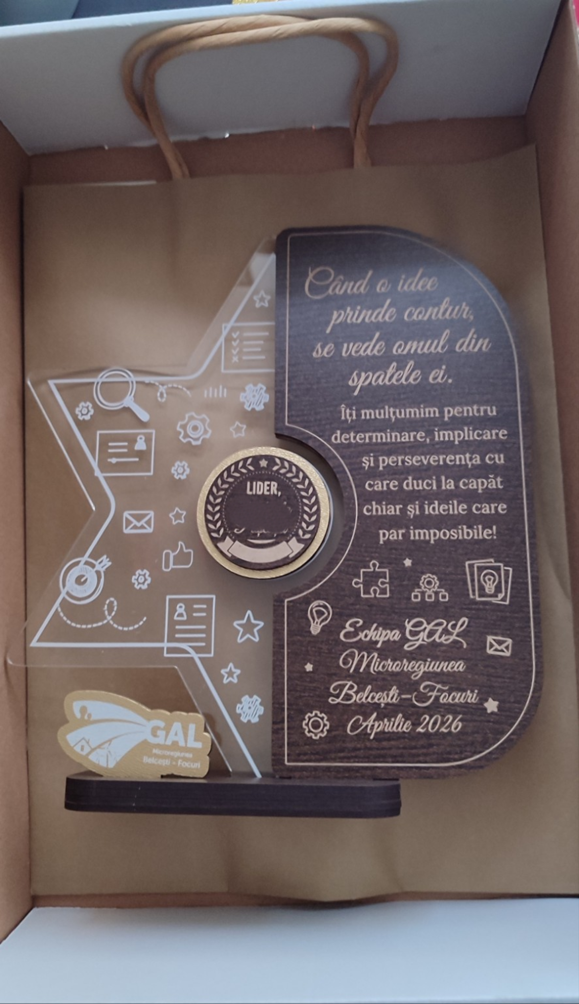 Recenzie Bodescu Elena