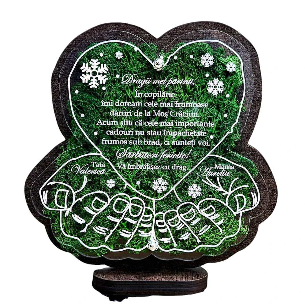 Trofeu cu licheni decorativi de Craciun – pentru parinti - Fundal Alb