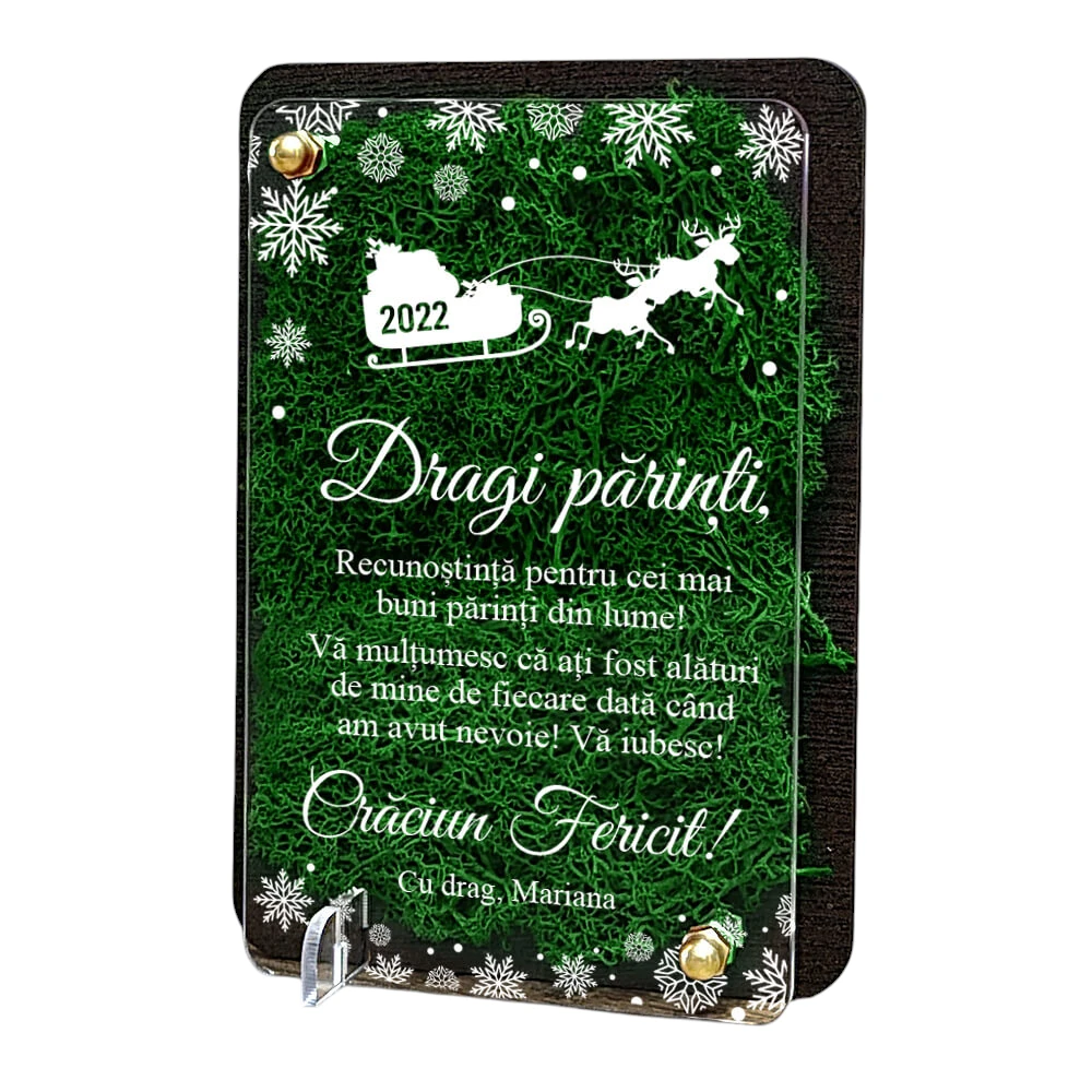 Felicitare cu licheni – pentru parinti de Craciun