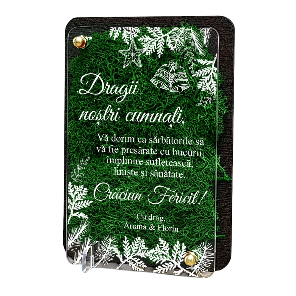 Felicitare cu licheni de Craciun – pentru cumnati