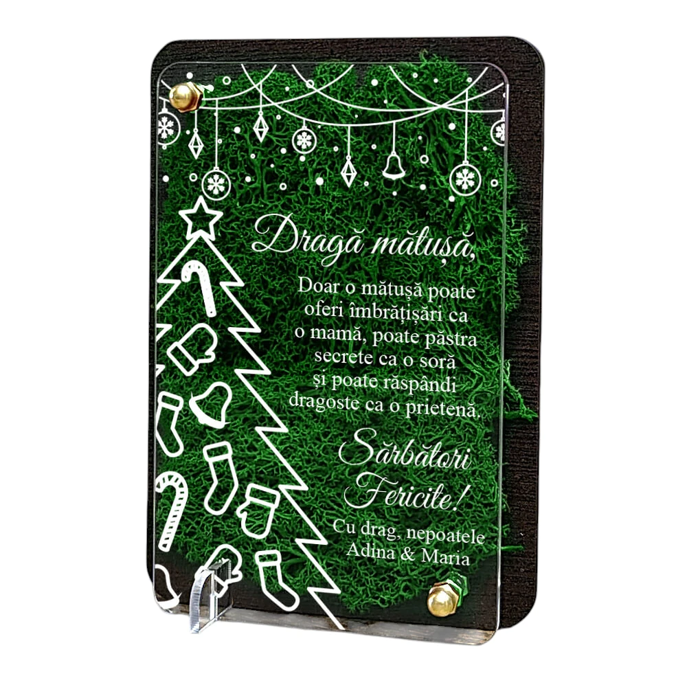 Felicitare cu licheni de Craciun – pentru matusa