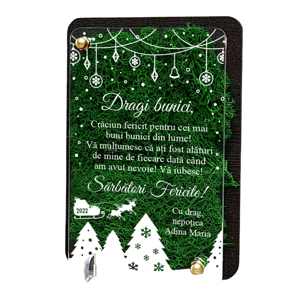 Felicitare cu licheni de Craciun – pentru bunici