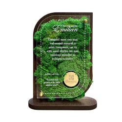 Trofeu Personalizat Cu Licheni – Trofeu Corporate