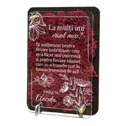 Felicitare cu licheni – Special pentru tata