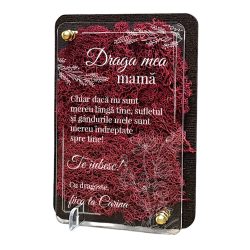 Felicitare cu licheni – Special pentru mama