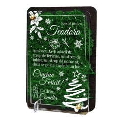 Felicitare cu licheni de Craciun – pentru colega