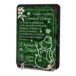 Felicitare cu licheni de Craciun – pentru nasi