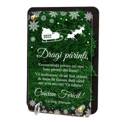 Felicitare cu licheni – pentru parinti de Craciun