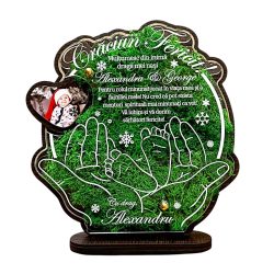 Trofeu personalizat cu licheni – Craciun fericit
